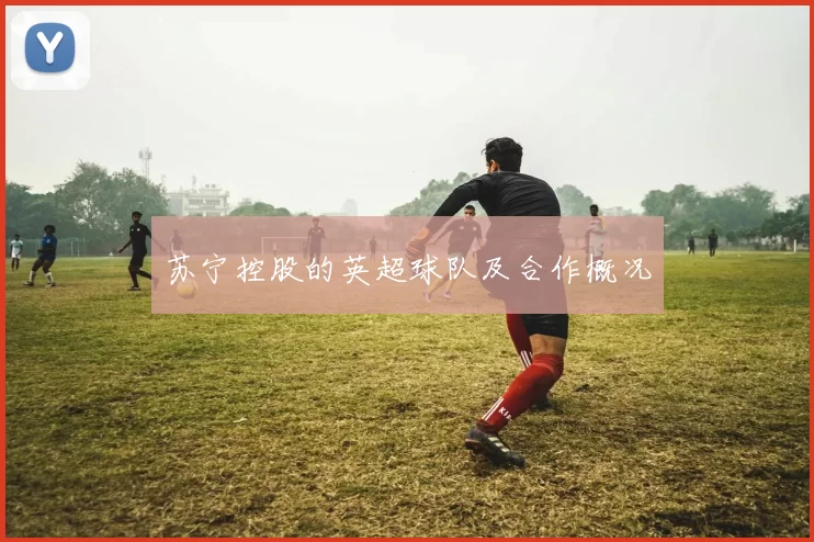 苏宁控股的英超球队及合作概况