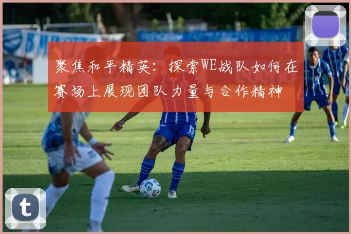 聚焦和平精英：探索WE战队如何在赛场上展现团队力量与合作精神