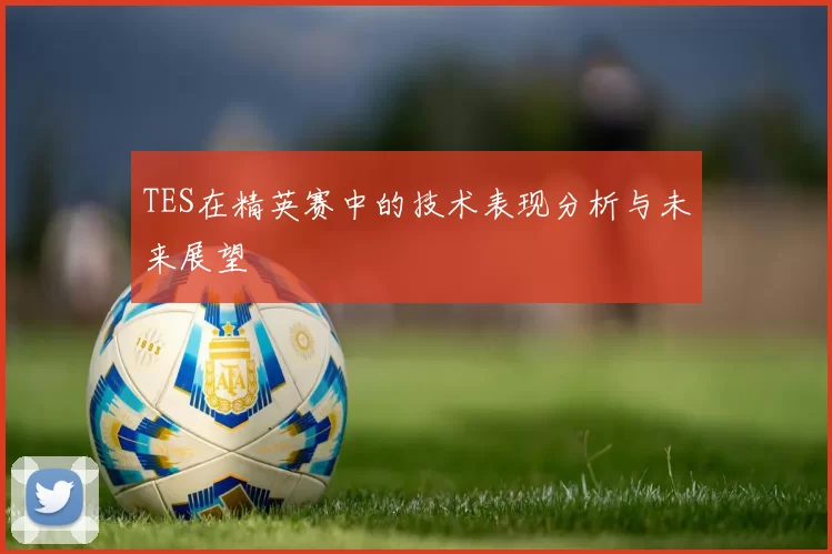 TES在精英赛中的技术表现分析与未来展望