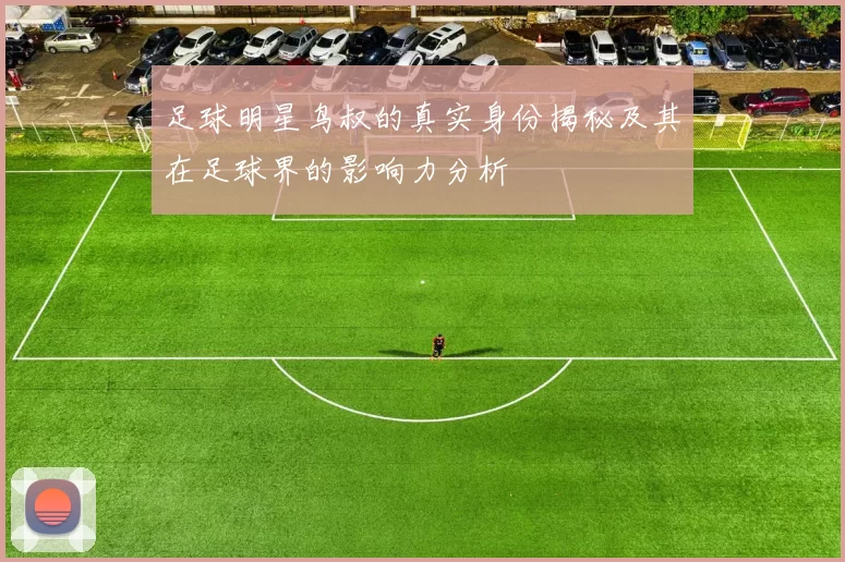 足球明星鸟叔的真实身份揭秘及其在足球界的影响力分析