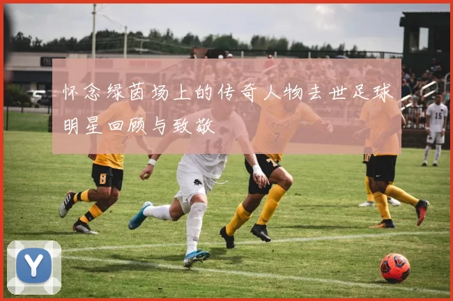 怀念绿茵场上的传奇人物去世足球明星回顾与致敬