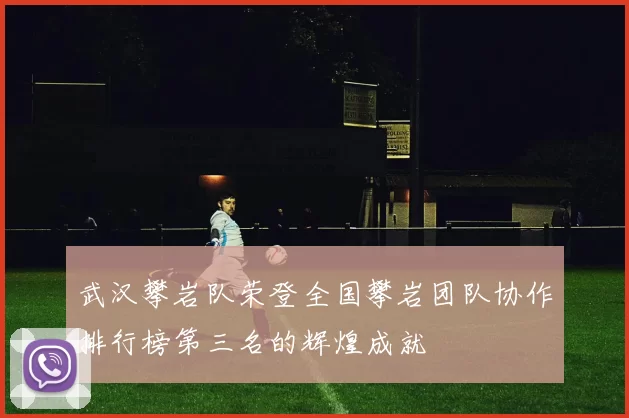 武汉攀岩队荣登全国攀岩团队协作排行榜第三名的辉煌成就