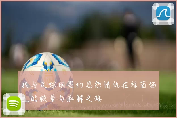 我与足球明星的恩怨情仇在绿茵场上的较量与和解之路